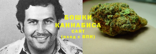 амф Надым
