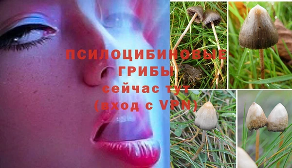 сатива Нея