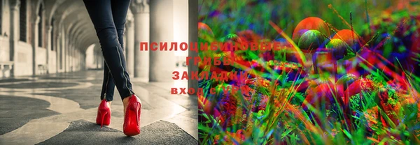 крисы Навашино