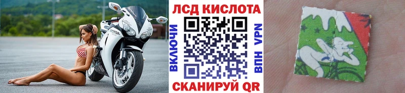 где можно купить наркотик  shop как зайти  Наркотические марки 1,8мг  Сальск 