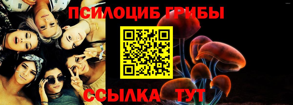 Псилоцибиновые грибы мицелий Сальск